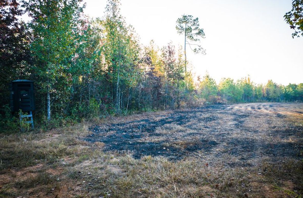 Clay 302.7 Henderson-04