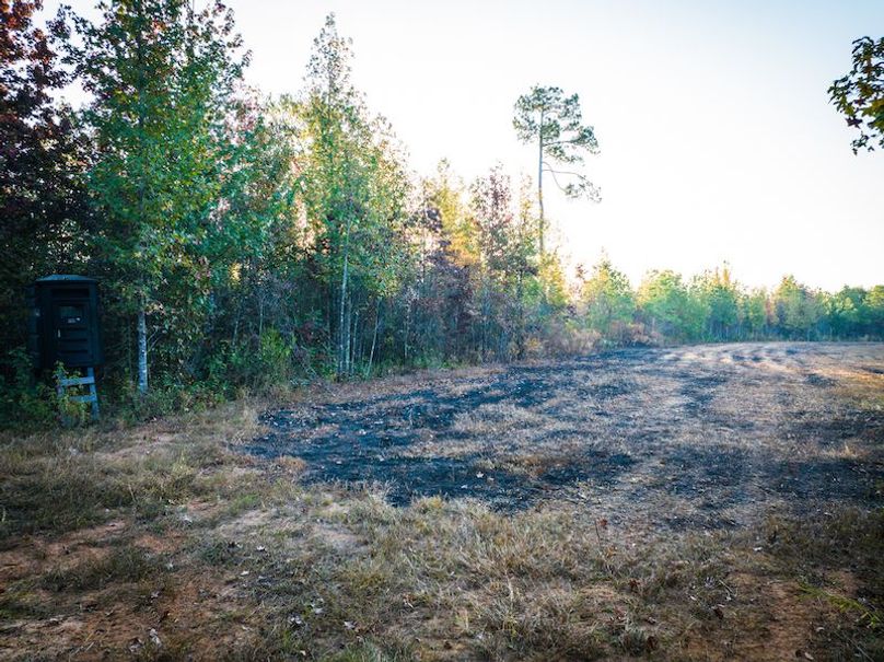 Clay 302.7 Henderson-04