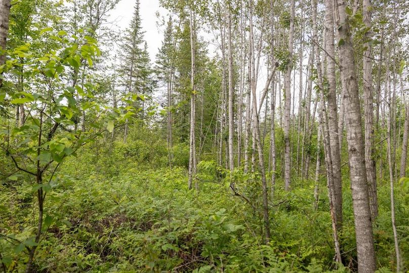 Mackinac 160 Leppiaho-20