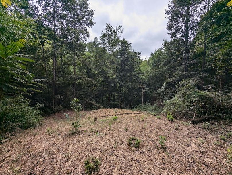 PXL_20240819_152948060