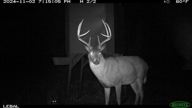 Copy of 3279ceb0d57c7c9ca0baad0114fa3d6b-large