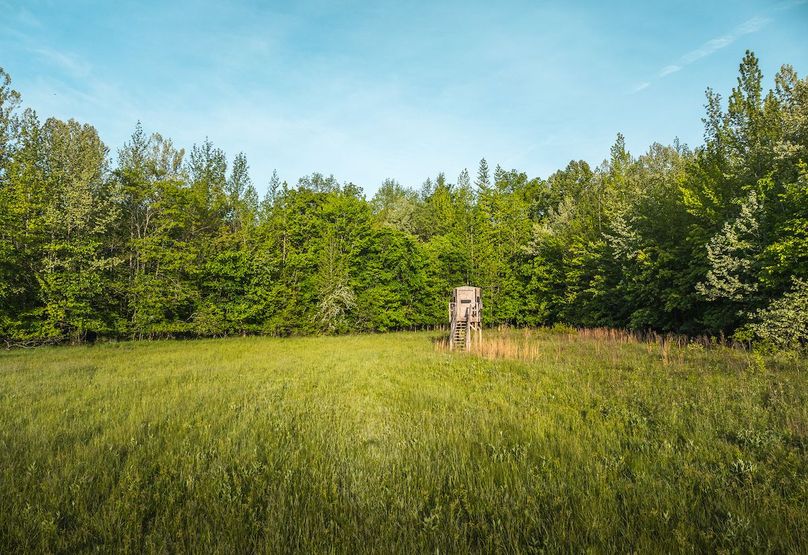 DJI_20250506071913_0165_D