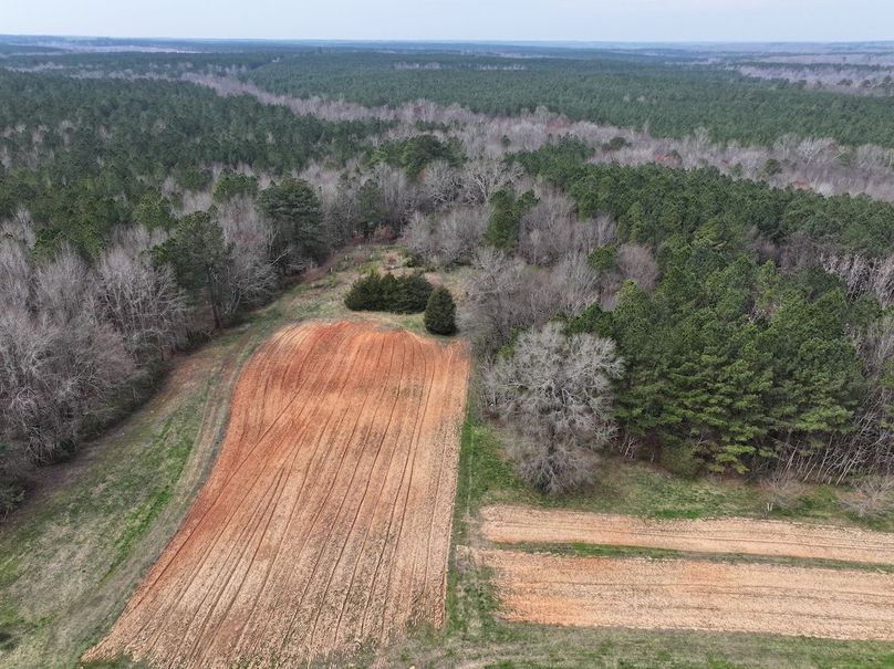 DJI_20240316121835_0017_D