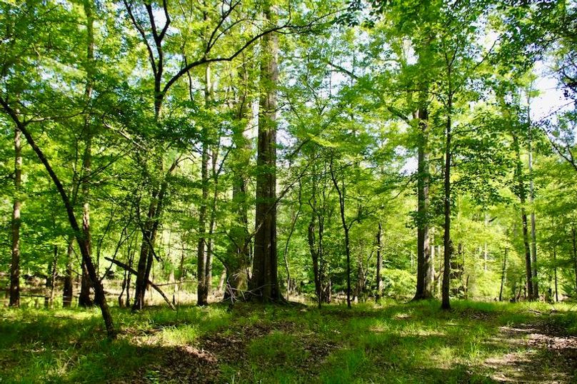 C9909C5E-388C-4D6F-9CB1-9CF5BEA47836_1_201_a