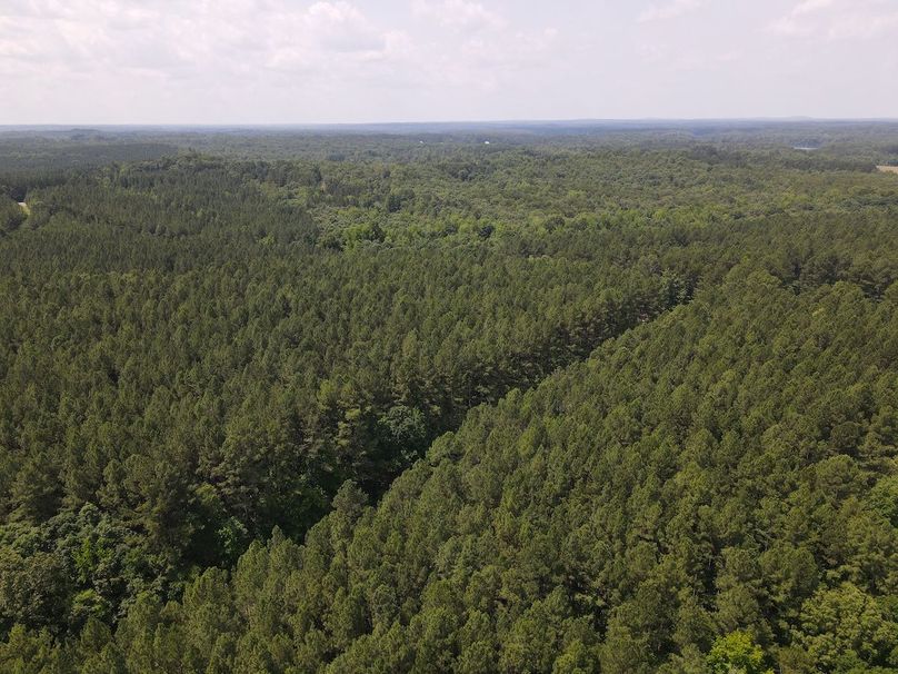 DJI_0499