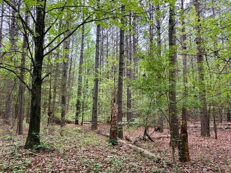 615A52F6-8A31-4A34-B831-E60234CD40AB_1_105_c