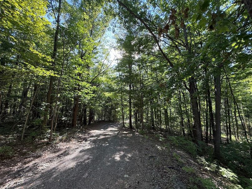 Ontario_33.3_Proseus Photo 44