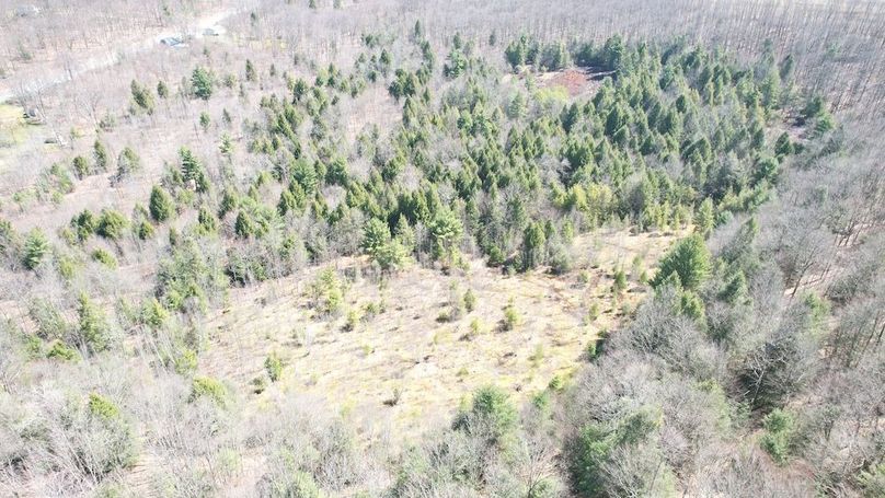 dji_fly_20250417_113354_145_1744904165265_photo
