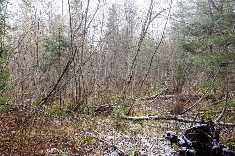 Mackinac 31.5 Noteboom-1638