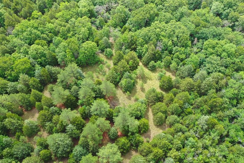 DJI_0326