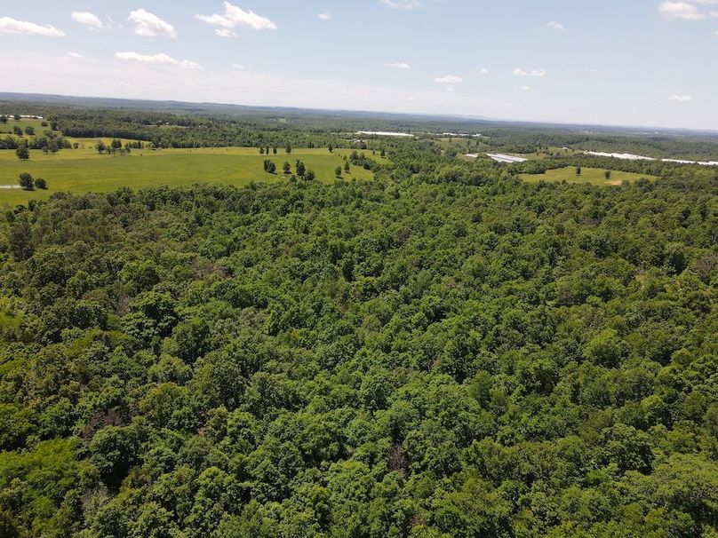 dji_fly_20260507_122150_734_1778174518845_photo