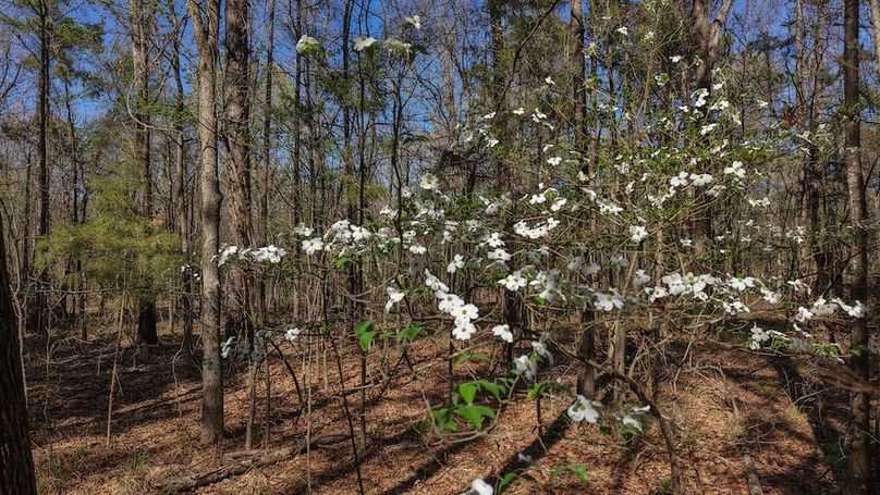 DJI_20260311013406_0049_D