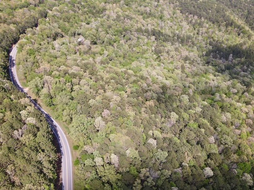 EFA11234-2AC0-429B-A77F-1B548FAE0C81_1_201_a