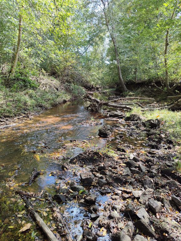 IMG_20231009_133152511