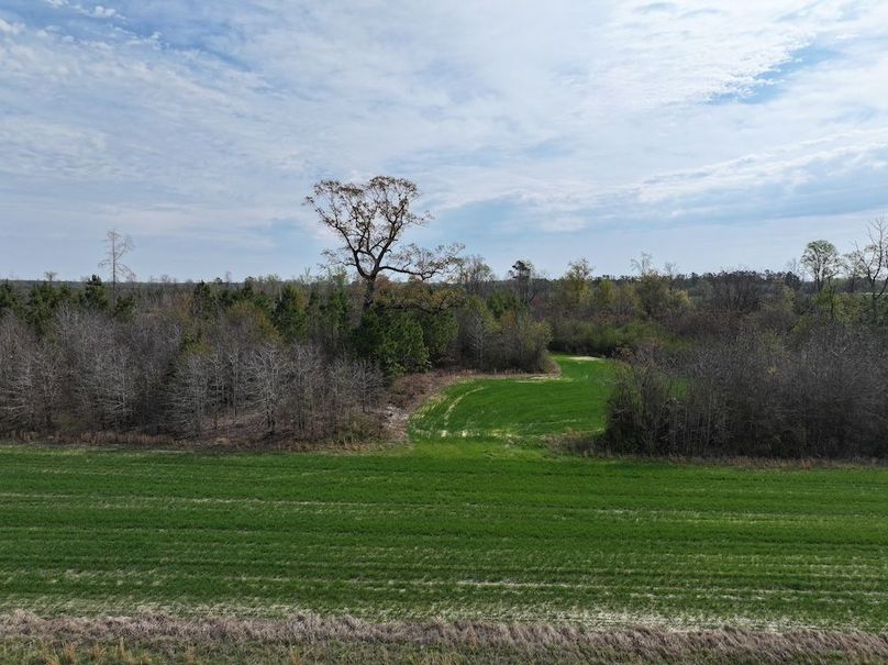 DJI_20260303064458_0581_D