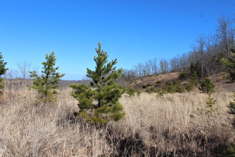 003 open point along the east boundary looking west