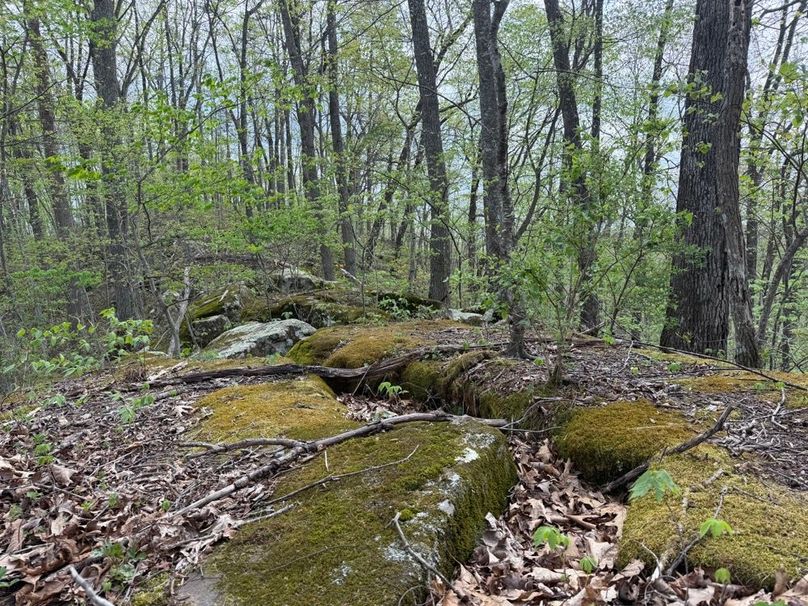 010 Abundant Rock Formations Aligning the Ridge Top