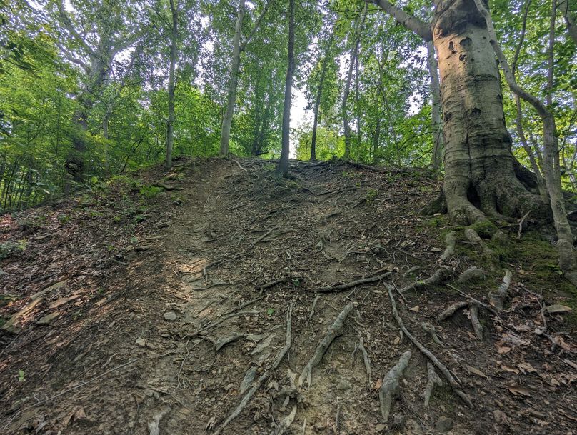 PXL_20230801_145955510.MP