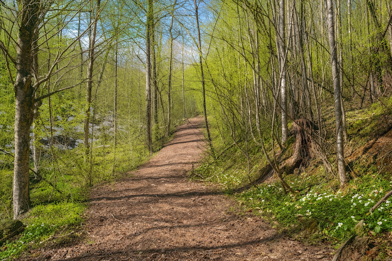 ChatGPT Image Mar 30, 2026, 12_21_49 PM