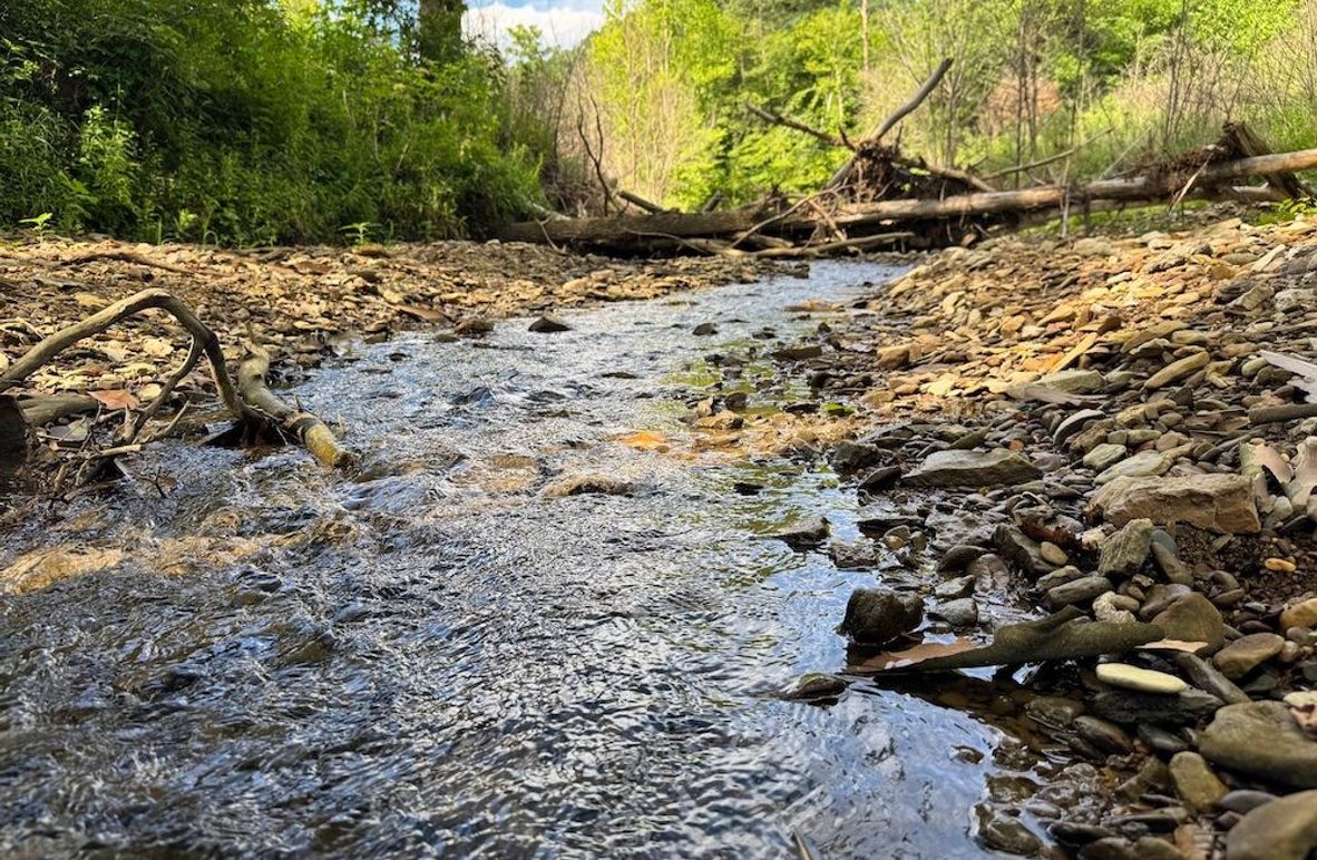 002 rushing waters of Furnace Fork running through the property