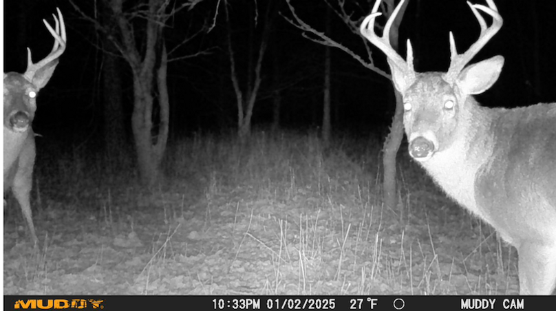 Screen Shot 2025-07-16 at 12.43.15 AM