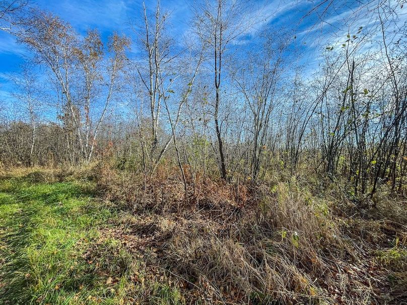 Clark 24.75 Winkel -29