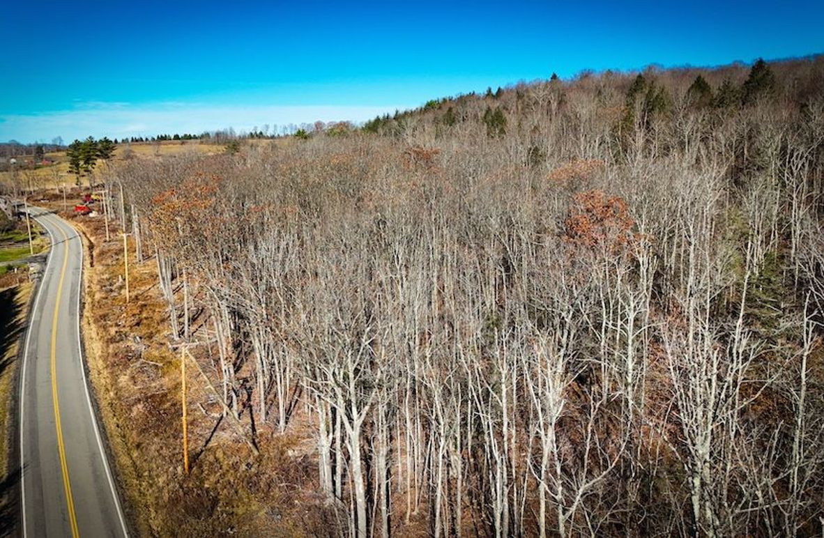 Chemung_31.75_Seymour_North_Photos_2