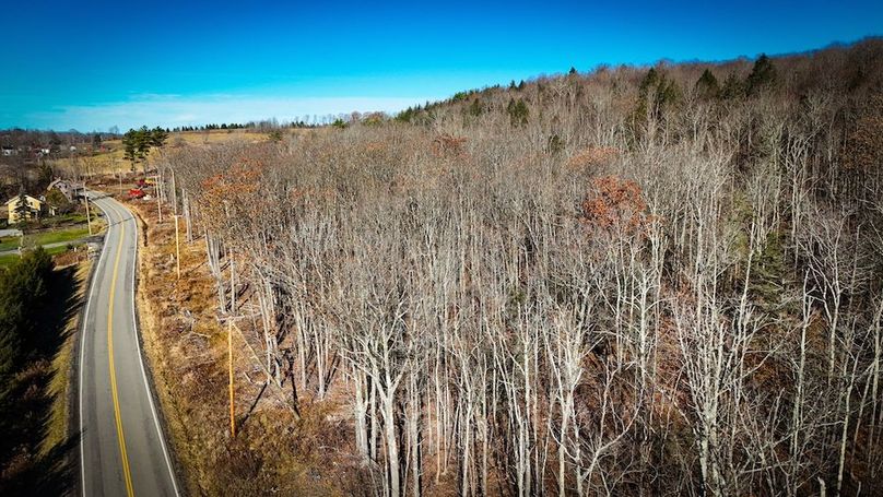 Chemung_31.75_Seymour_North_Photos_2