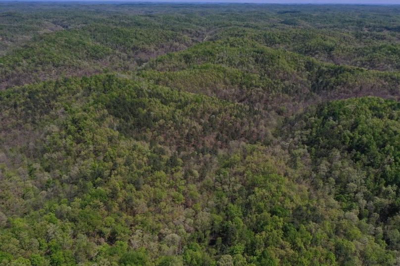 011 aerial drone shot of the east portion of the property down Jones Fork