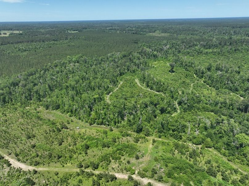 dji_fly_20250522_161358_232_1747959611457_photo