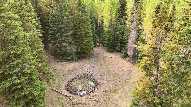 DJI_20250726183847_0219_D