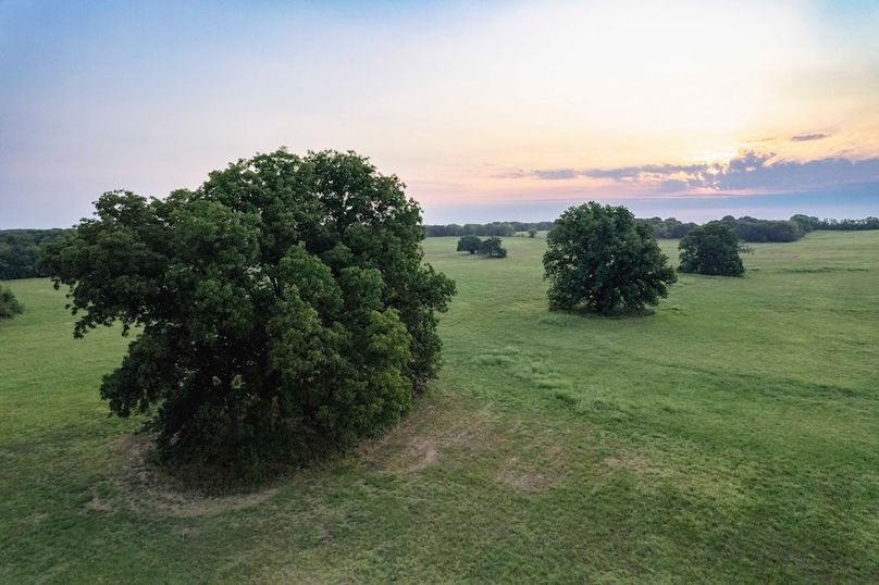 Lamar County TX 112-6