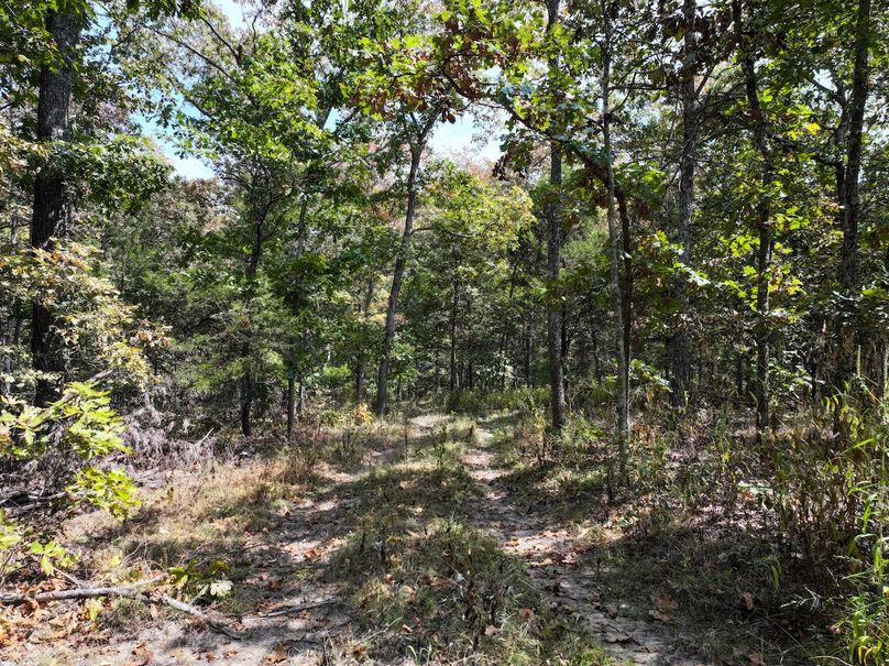 DJI_20250904124528_0583_D