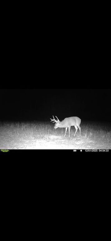 Screenshot 2026-02-27 at 4.05.31 PM