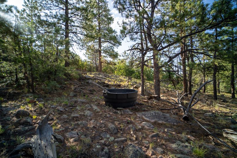 Cibola NM 13,053-06014