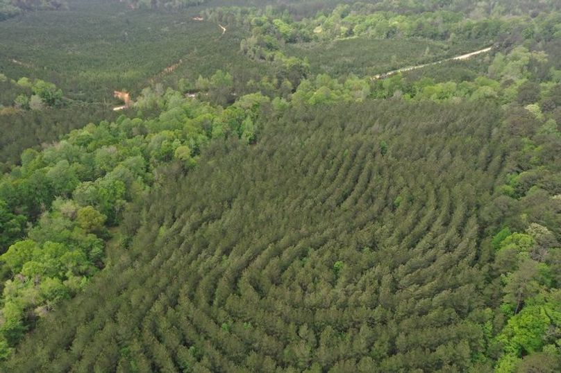 DJI_0040