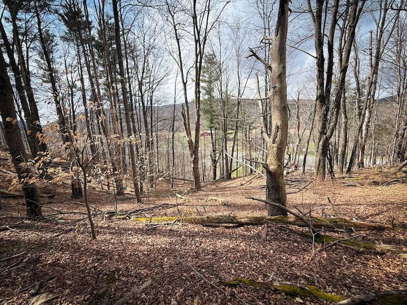 Chemung_32.07-Bower_photos_42