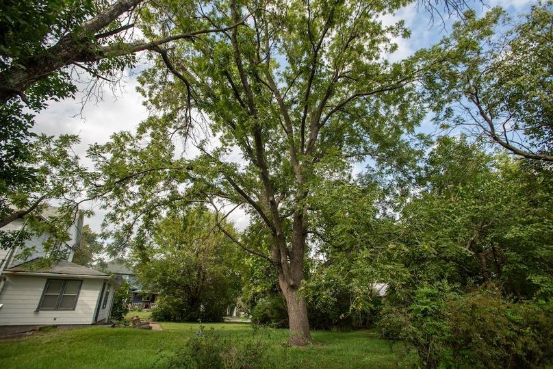 FREMONT CO IA .98+_-_33