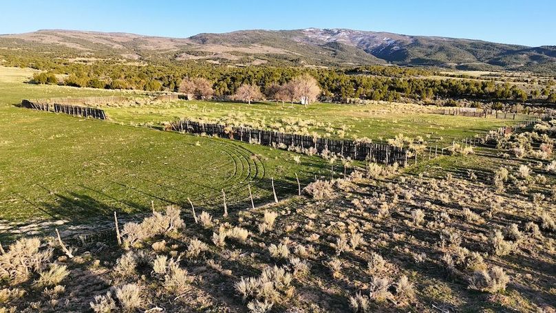 DJI_20250409191627_0055_D