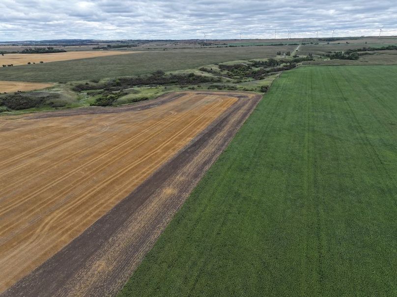 DJI_20250801183708_0748_D