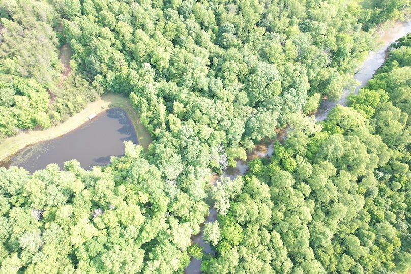 DJI_0499