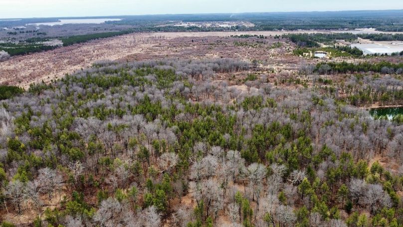 dji_fly_20250404_130320_751_1744067509986_photo_optimized