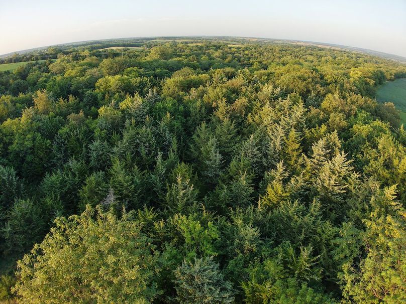 DJI_20250723200134_0395_D