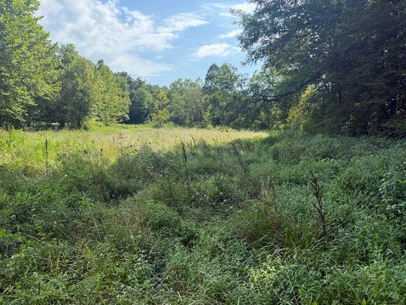 Adair 24.27 Hartsog 15 