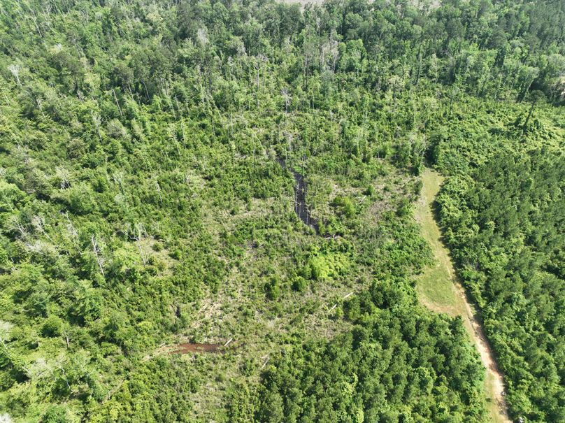 dji_fly_20230516_110106_118_1684333473786_photo