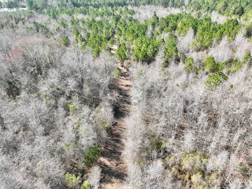 dji_fly_20260213_144608_349_1771012086252_photo