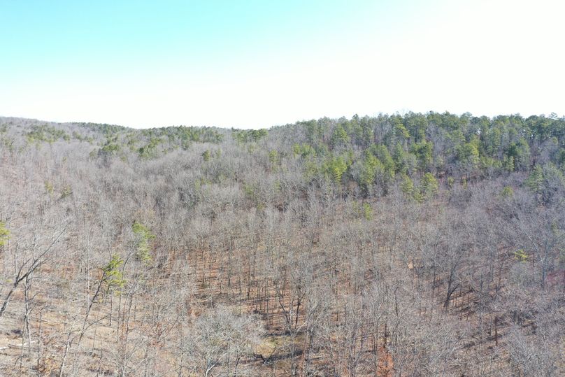 DJI_0920