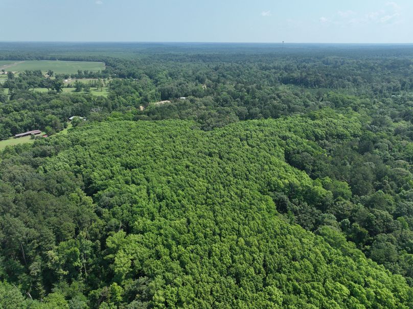 dji_fly_20230530_111436_136_1685483411375_photo