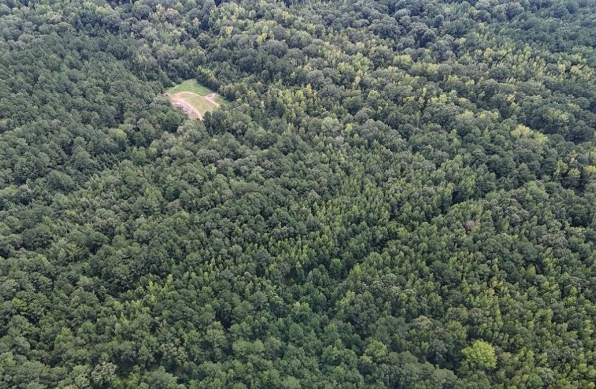 DJI_20250813041643_0620_D