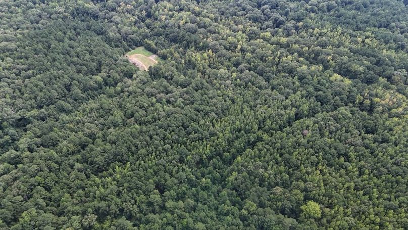 DJI_20250813041643_0620_D